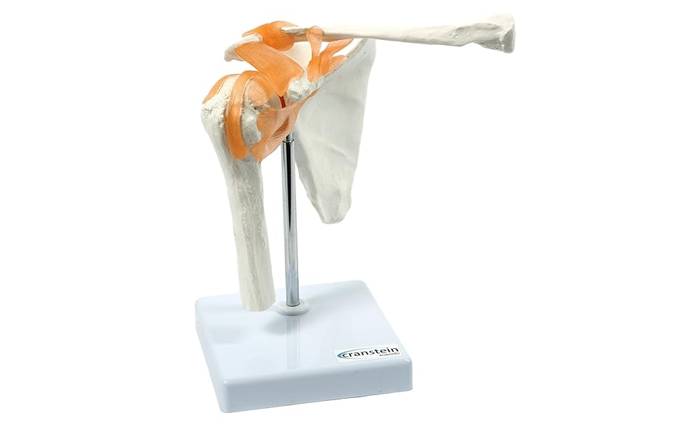 Large manufacture image 1