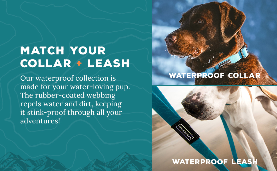 match your collar with a waterproof leash