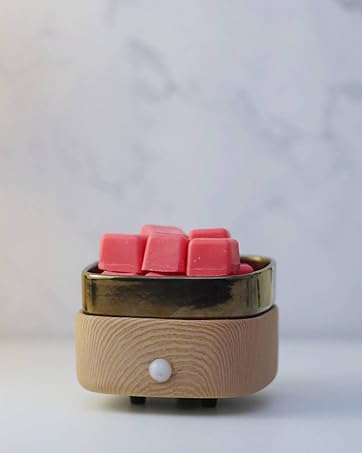 wax melter