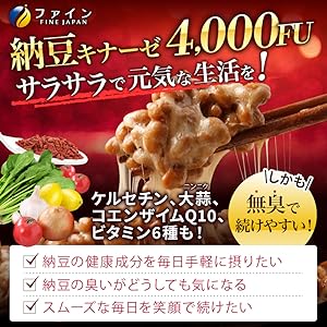 納豆100 NICHIGA 国産納豆（粒） 400g 国産大豆100％使用 Grain natto