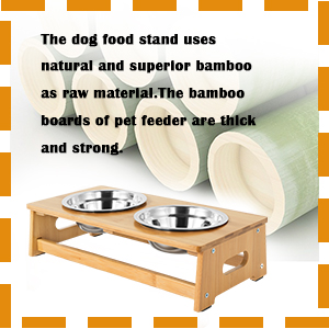 Small Dogs dog feeding station elevated feeder quiet dining