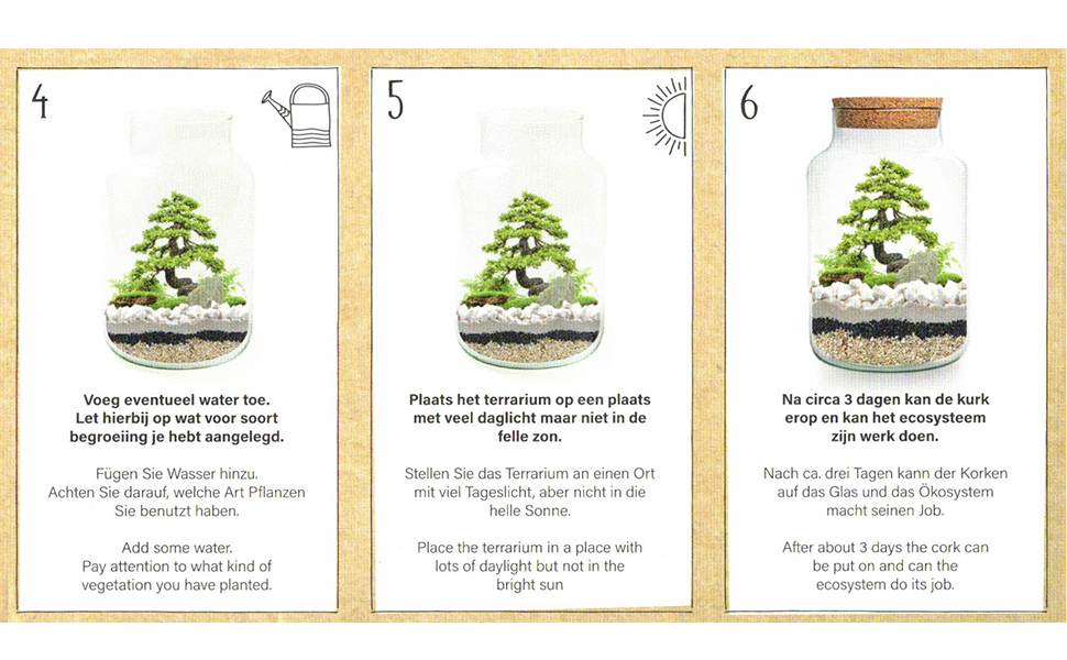 Ein Satz von vier Karten, die einen Bonsai-Baum in einem Glasgefäß zeigen.