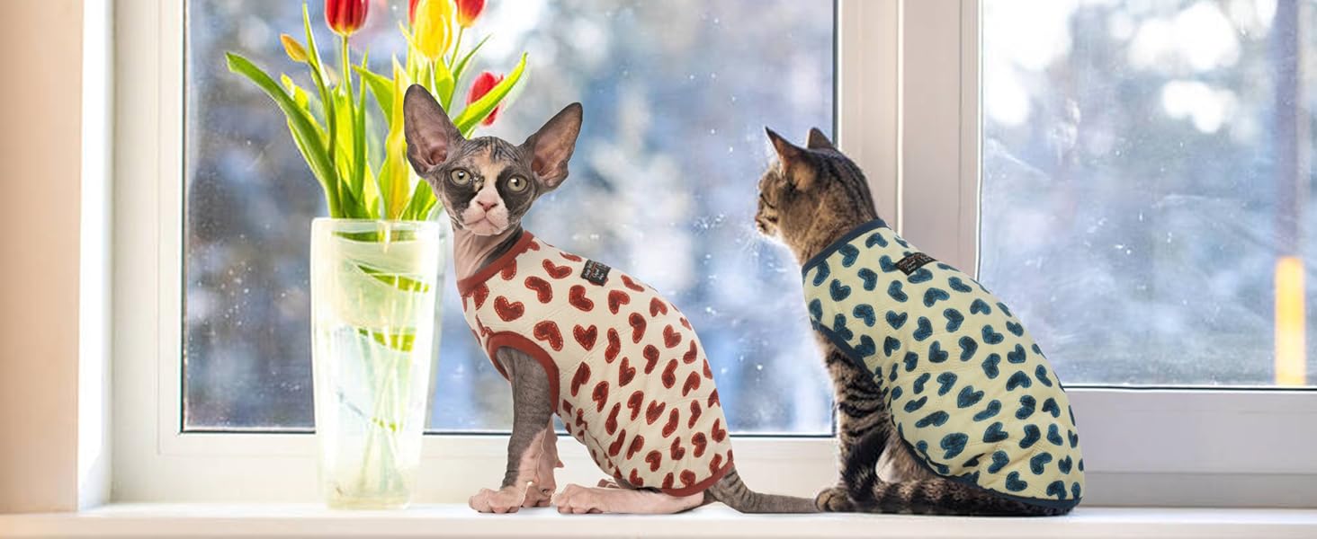 DENTRUN Cat Winter Warm Coat, Cat Cold Weather Clothes Jacket for Cats Only, Cat
