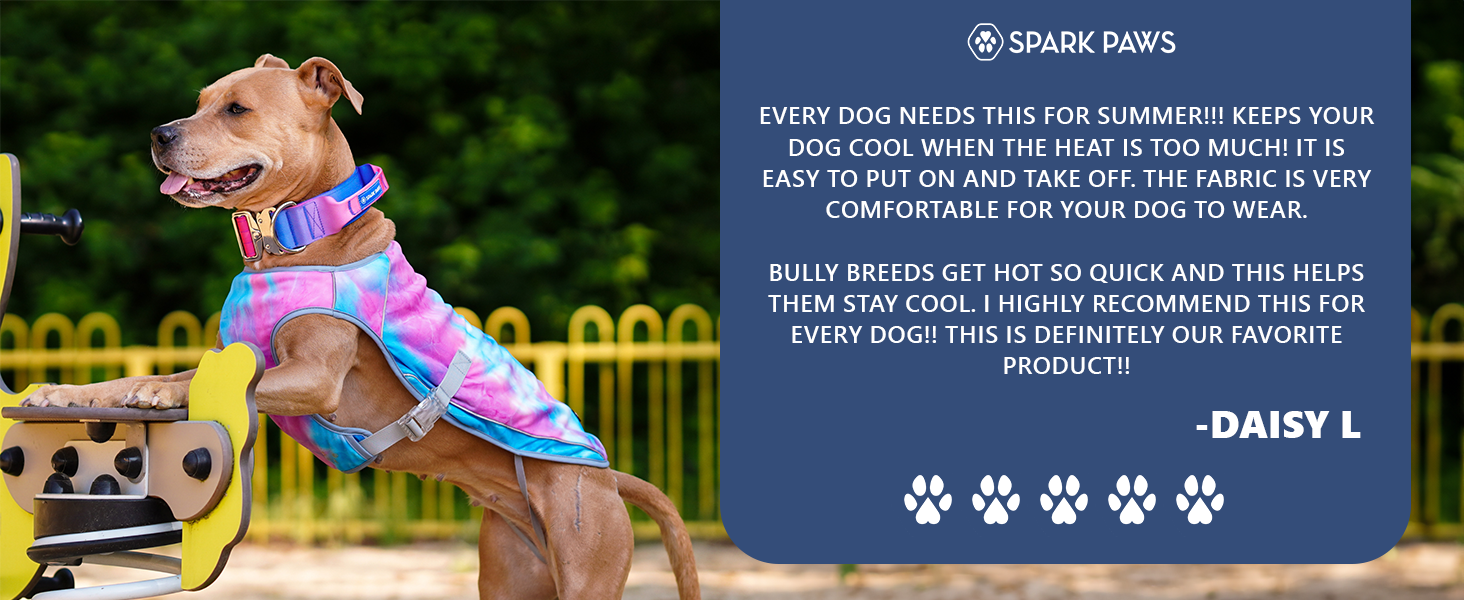 spark paws cooling vest for dogs summer outdoor dog essential heatwave must have