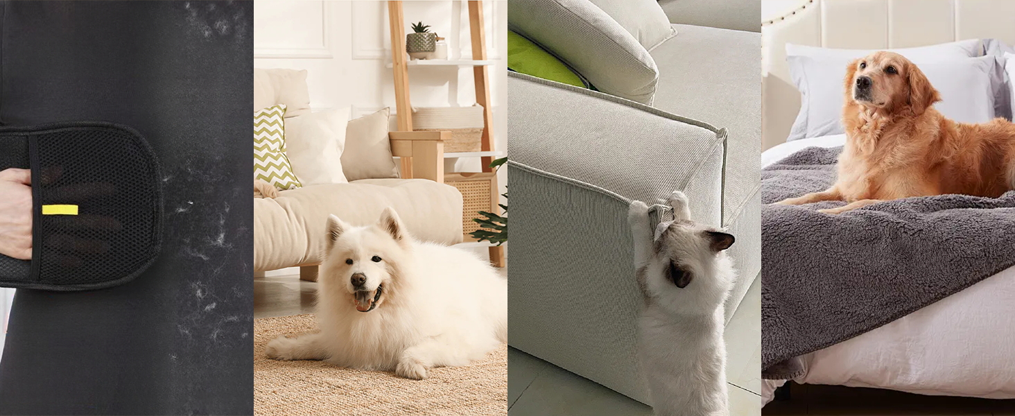 aplus immagine del contenuto