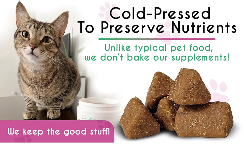 Balanced Breed LLysine Cats Skin Coat Nose Sneezing