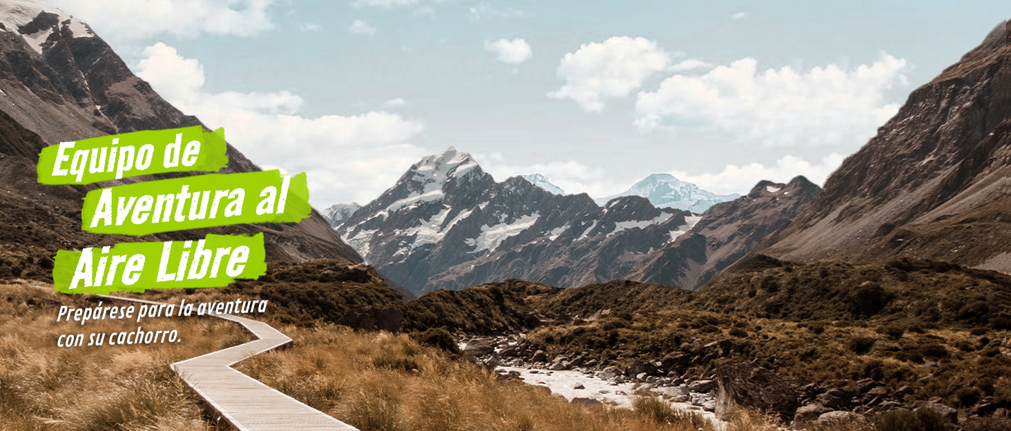 Pecute Large Portable Pet Travel Bag with Pockets Multifunctional Organizer for Outdoor Use Travel Set with 2 Food Bags + 2 Collapsible Bowls 12 aplus content image