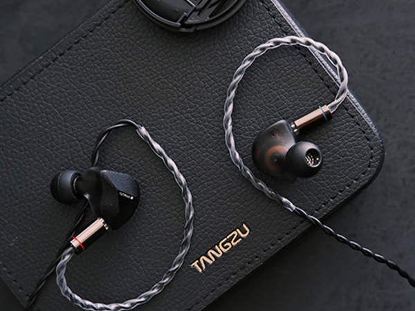 Linsoul TANGZU FUDU Verse 1 HiFi 1DD+2BA Driver Earphone, IEM in Ear  Monitor with Ergonomic Shape, and Detachable Oxygen-Free Silver-Plated  Copper 