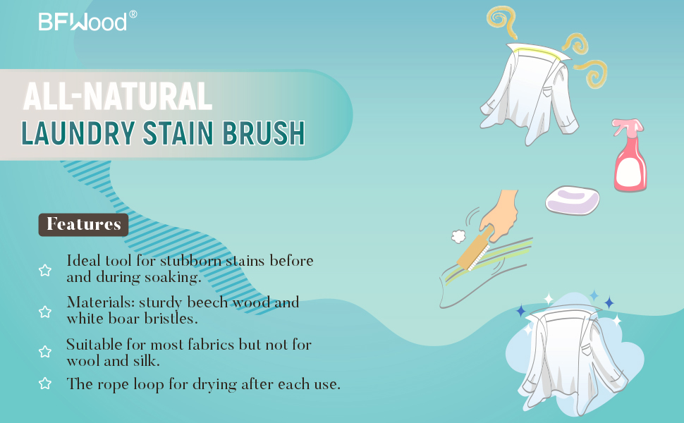Laundry Stain Brush