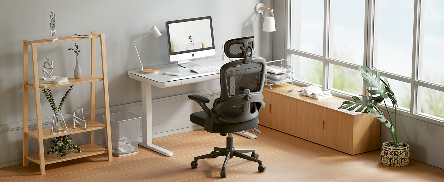 SIHOO M102CM101 Ergonomic Office Chair, Computer High Back Chair with Dual Back Design