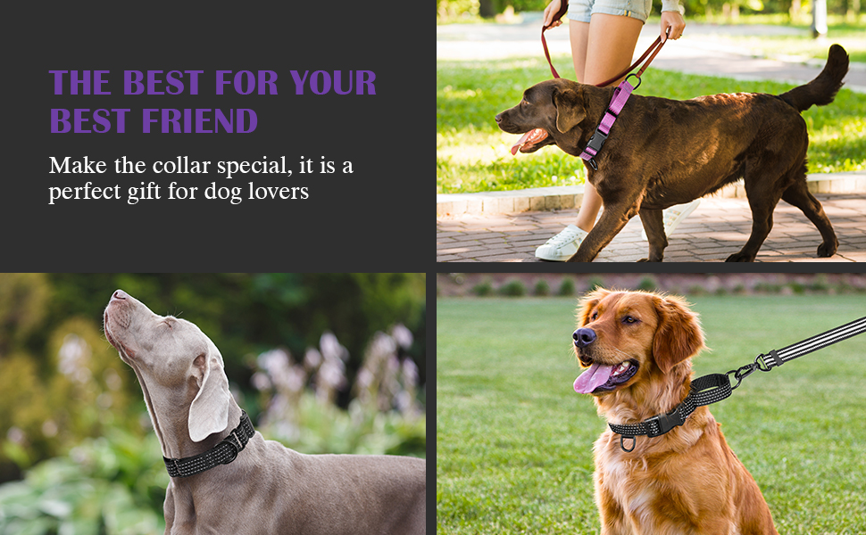 Colaseeme Martingale Collar for Dogs. Adjustable Reflective Dog Collar