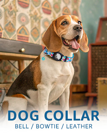 dog collar