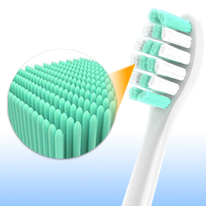 End-Rounded Gentle Bristles