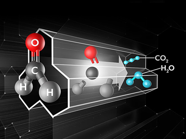 Molecule