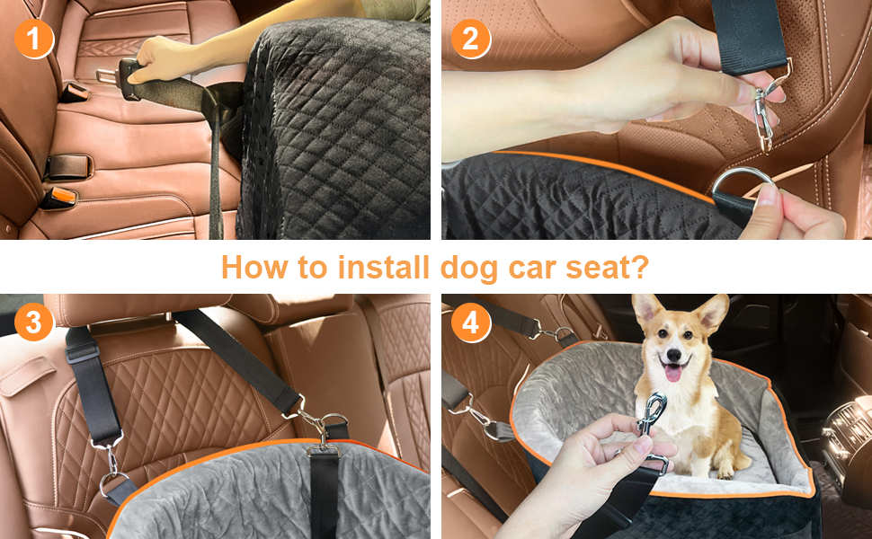 dog booster seat
