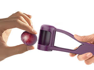 fruit slicer