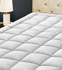HYLEORY Luxurious 750 Fill Power Goose Feather Comforter, Queen Size 90"x90" 738fb158 Ccb7 436b 91dc E5de04ce4a45. CR83,0,1333,1500 PT0 SX200 V1