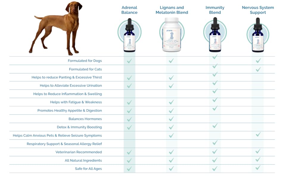 Large manufacture image 6