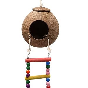 Natural Coconut Reptile Hideout with Ladder