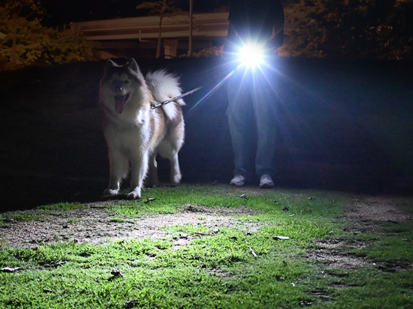 led flashlights high lumens