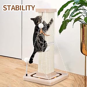 cat scratching post