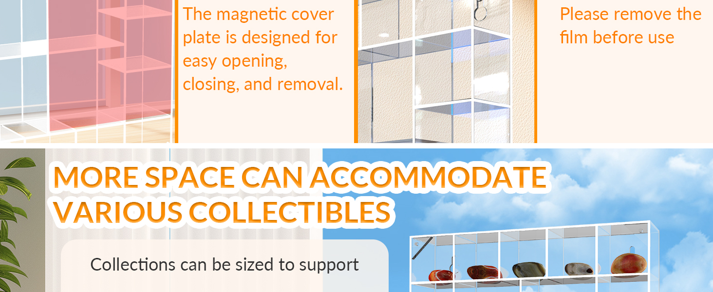 Seashell Display Box Large (20 Grids), Acrylic