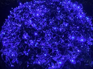 net light A+
