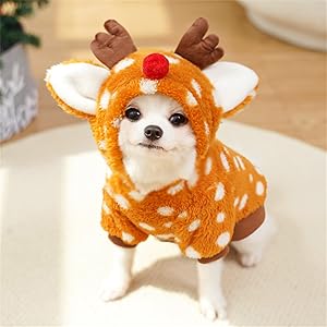 ペットの服、猫と犬の服、トナカイ、サンタ、クリスマスコスチューム、コスプレ、暖かく、かわいい、冷たい保護、小さな、中犬の服 