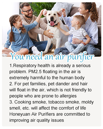 air purifier 3