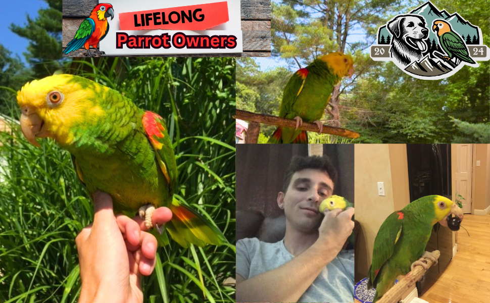 Support other Parrot Owners