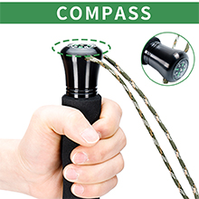 compass