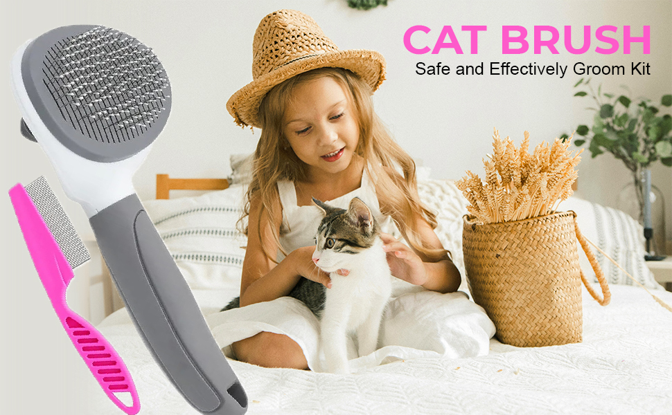 cat brush