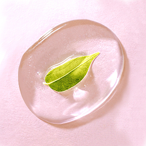 sugar surfactants