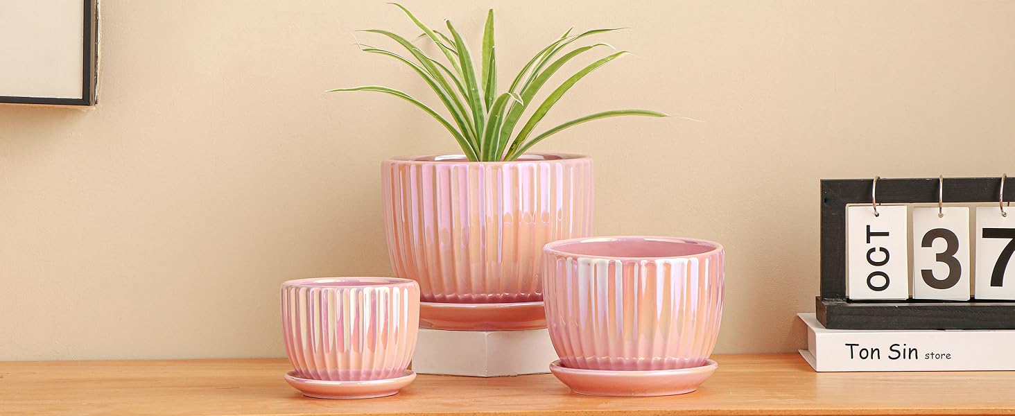Pink Gold Flowr Pots