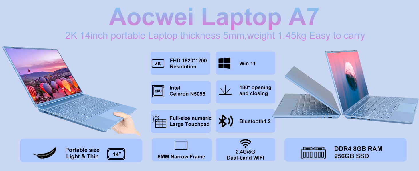 Diversità funzionale