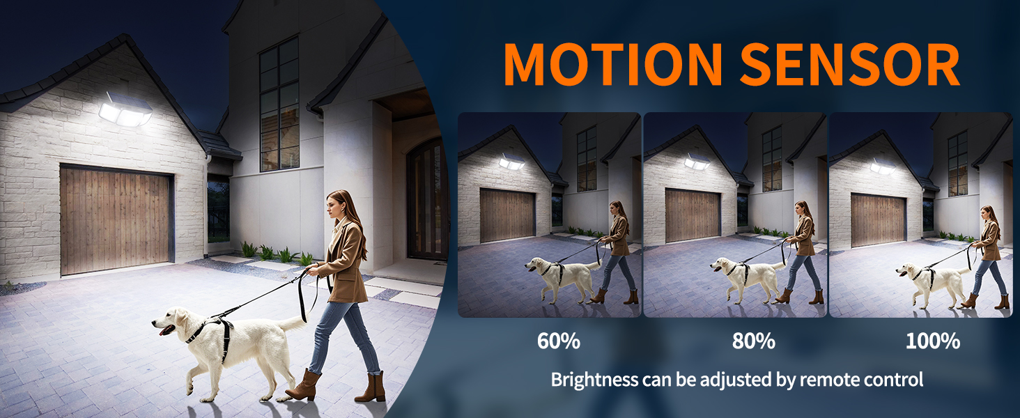 solar motion lights