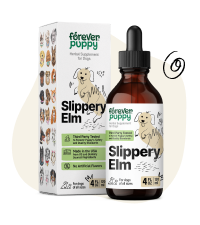slippery elm for dogs