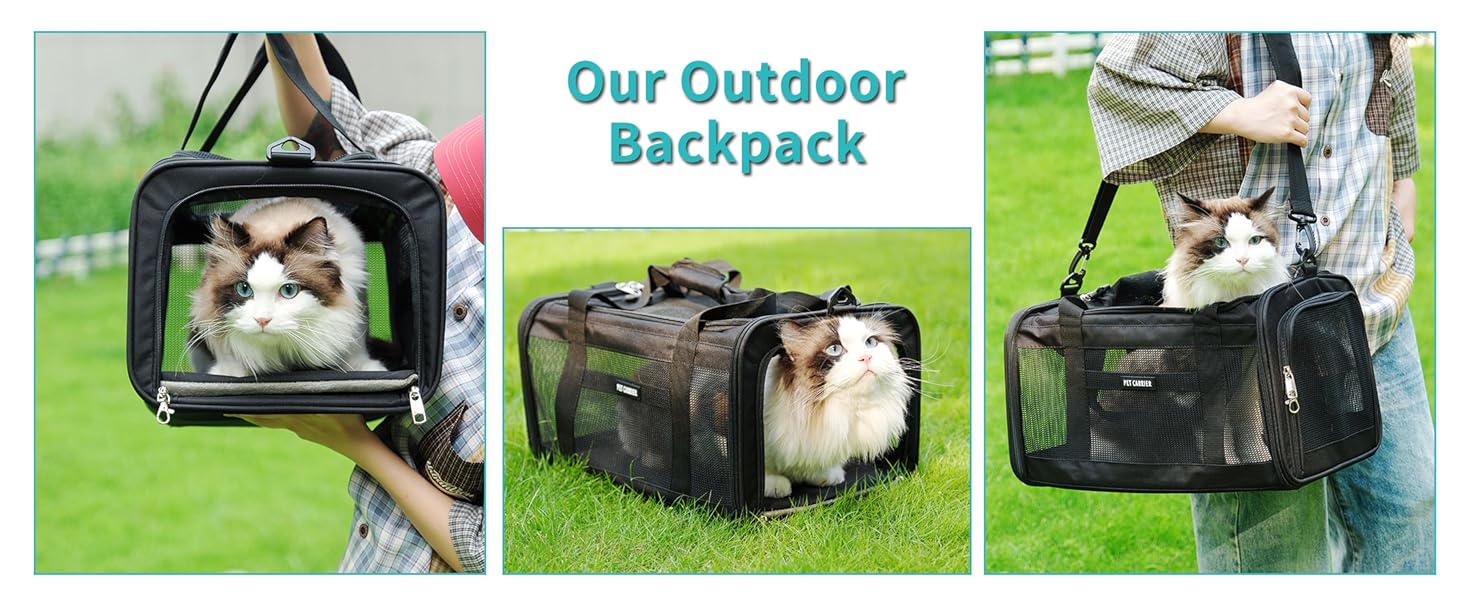 pet backpack carrier