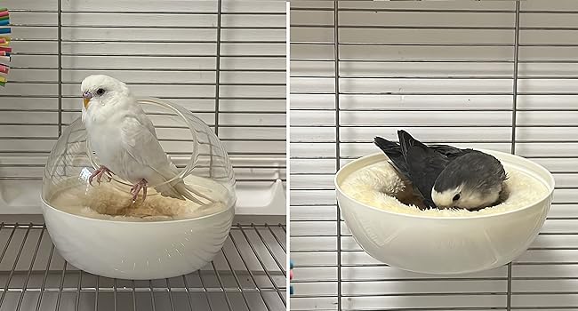 bird nest for parrot