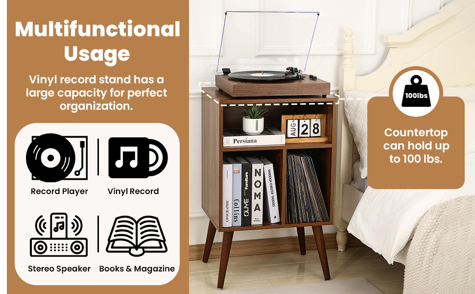 vinyl record stand