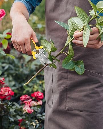 Gardening Scissors