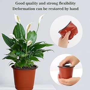 Willing plant ordinal pot W.P-004 Mix⑧ Willing plant ordinal pot W.P-004 Mix⑧
