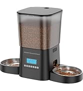 Automatic pet feeder with transparent food container, digital display, and two metal feeding bowls. Features programmable settings and portion control for scheduled feeding.