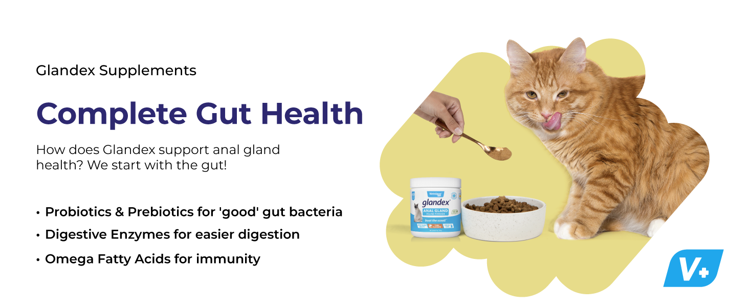 Probiotics