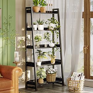 ladder shelf