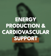 cardiovascular support