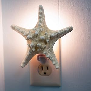 Nautical Crush Trading Real Starfish Night Light – Beach