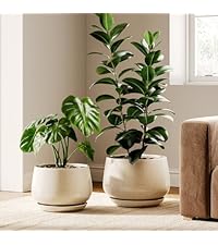 トップス Online Ceramic for 2 pieces Amazon.com: XIJIXILI Ginger Jar 18 inch White and Gold Vase