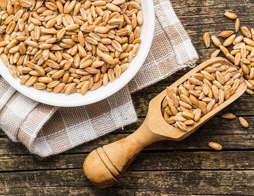 Spelt Farro Grain Organic 5.8 lb Whole Wheat Berries