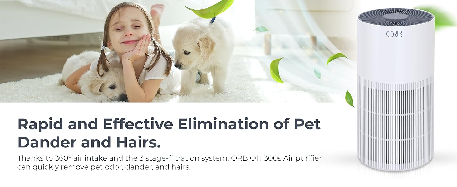 2 in 1 Air purifier and Humidifier